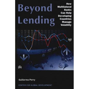 Beyond Lending: How Multilateral Banks Can Help Developing Countries Manage Volatility